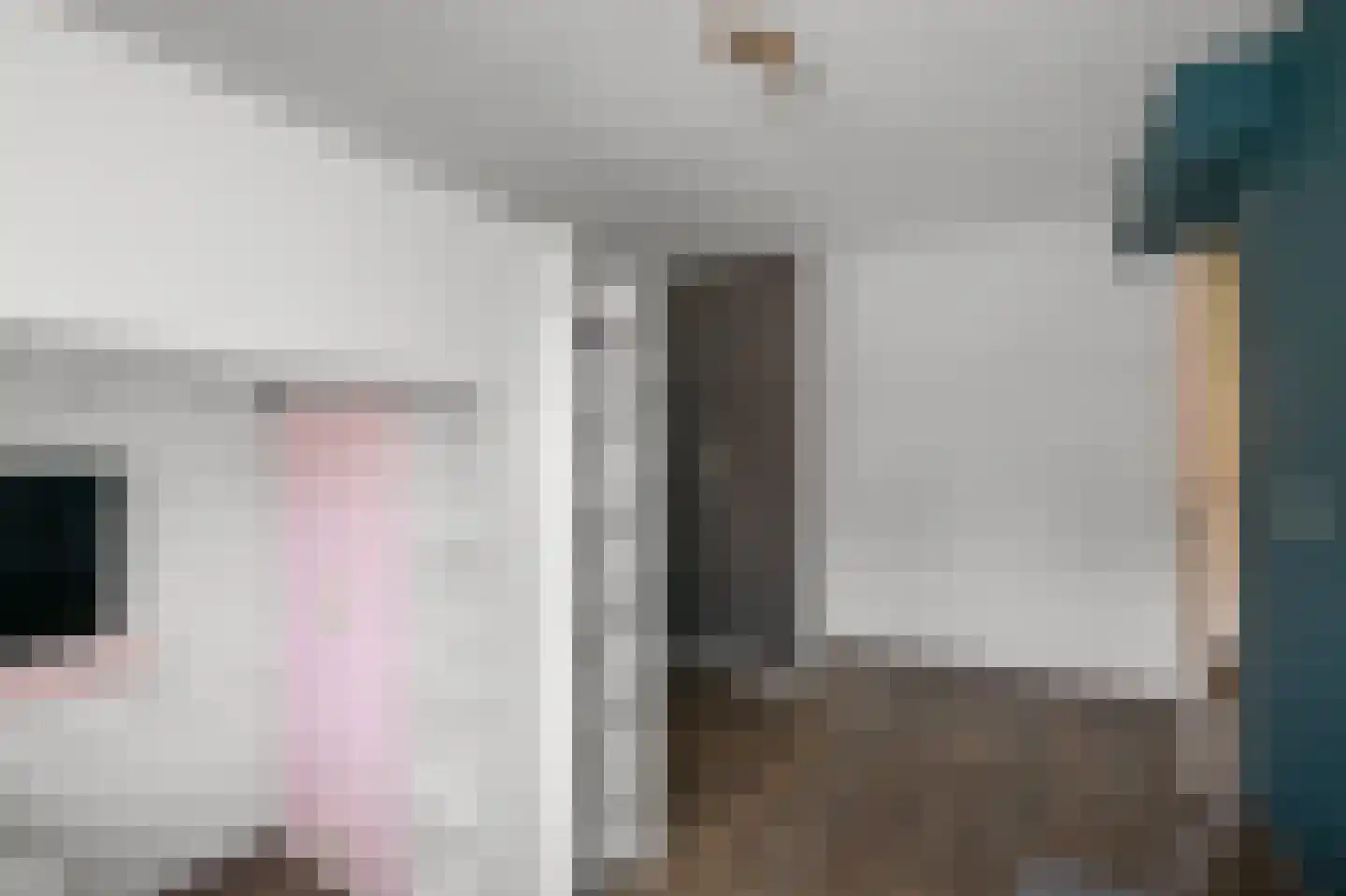 Roosje Vosstraat 5 Alkmaar thumbnail 13