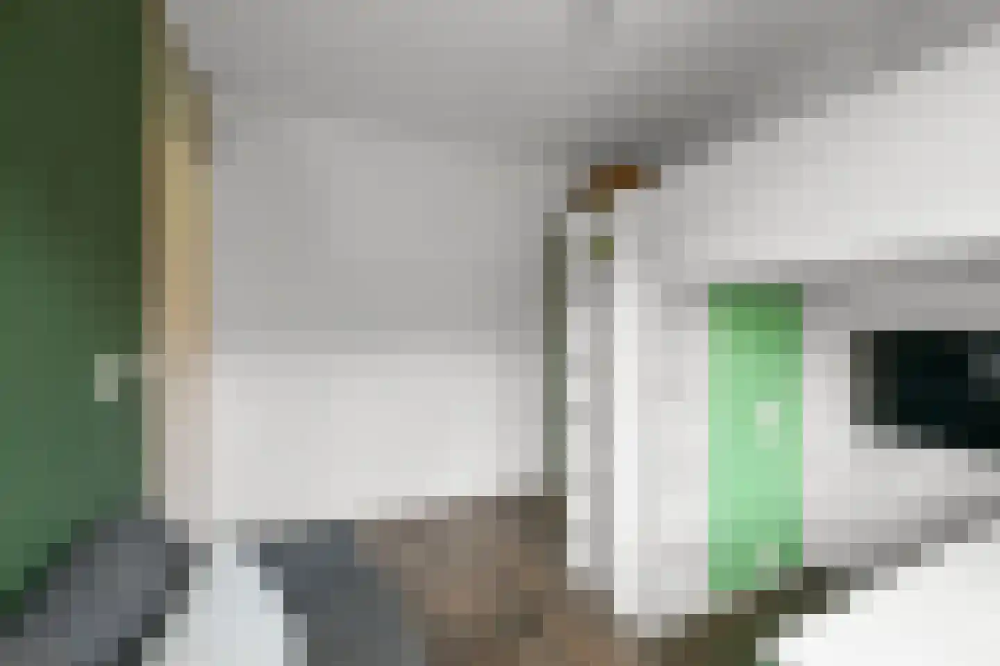Roosje Vosstraat 5 Alkmaar thumbnail 18