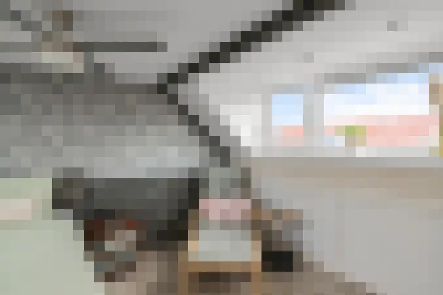 Roosje Vosstraat 5 Alkmaar thumbnail 24