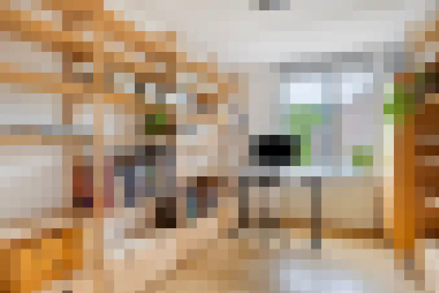 Roosje Vosstraat 55 Eindhoven thumbnail 35