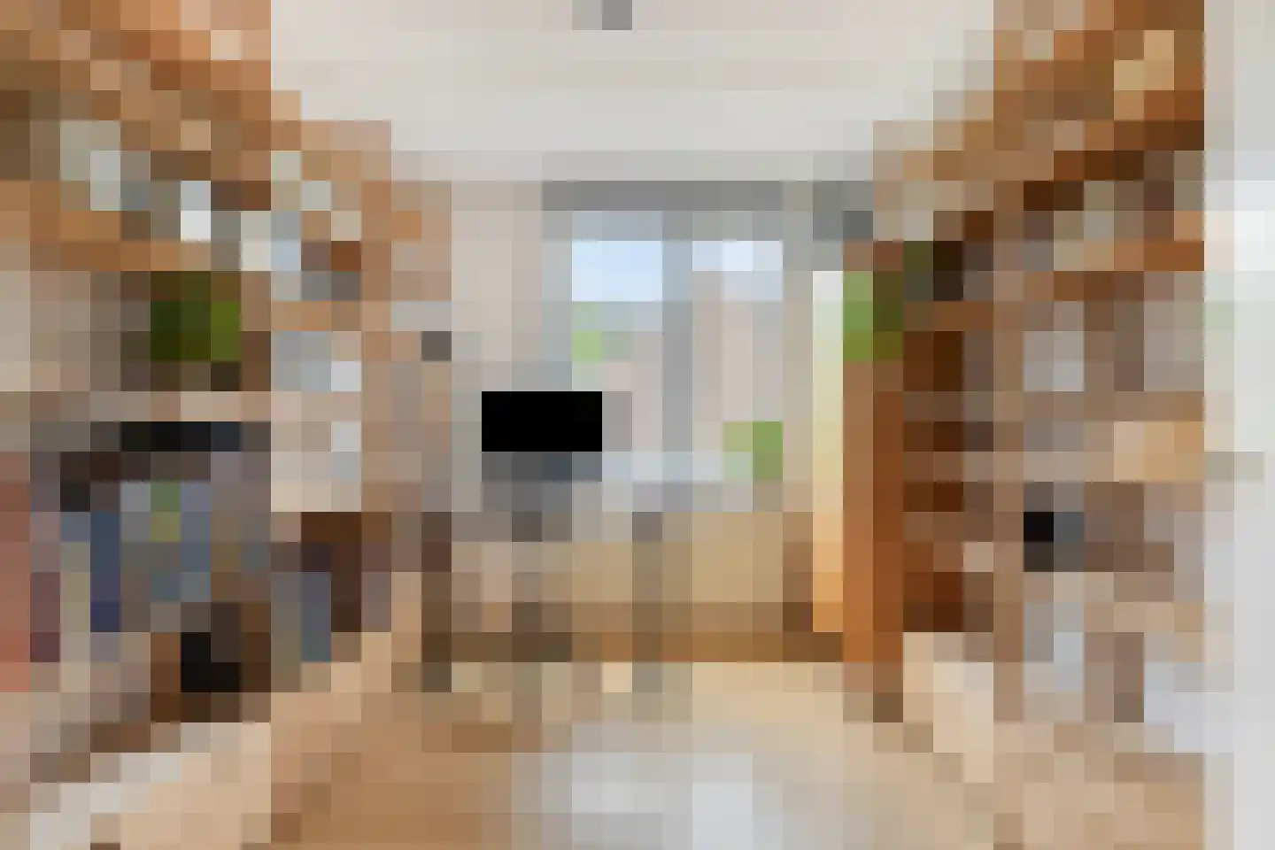 Roosje Vosstraat 55 Eindhoven thumbnail 39