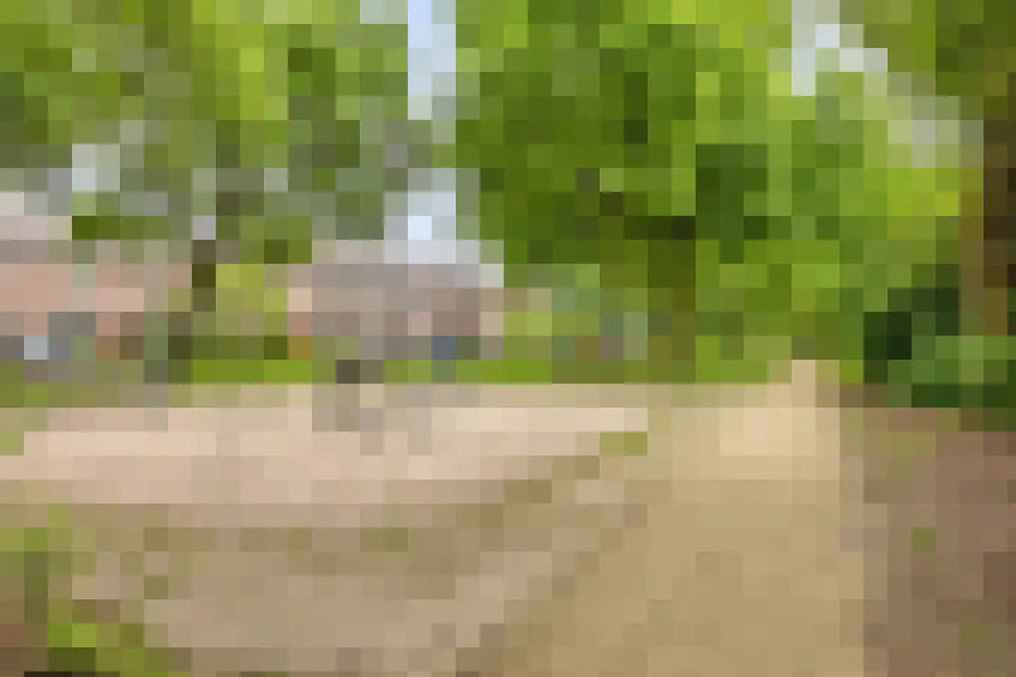 Roosje Vosstraat 55 Eindhoven thumbnail 56