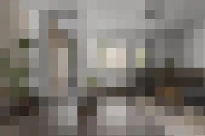 Roosje Vosstraat 71 Heemskerk thumbnail 4