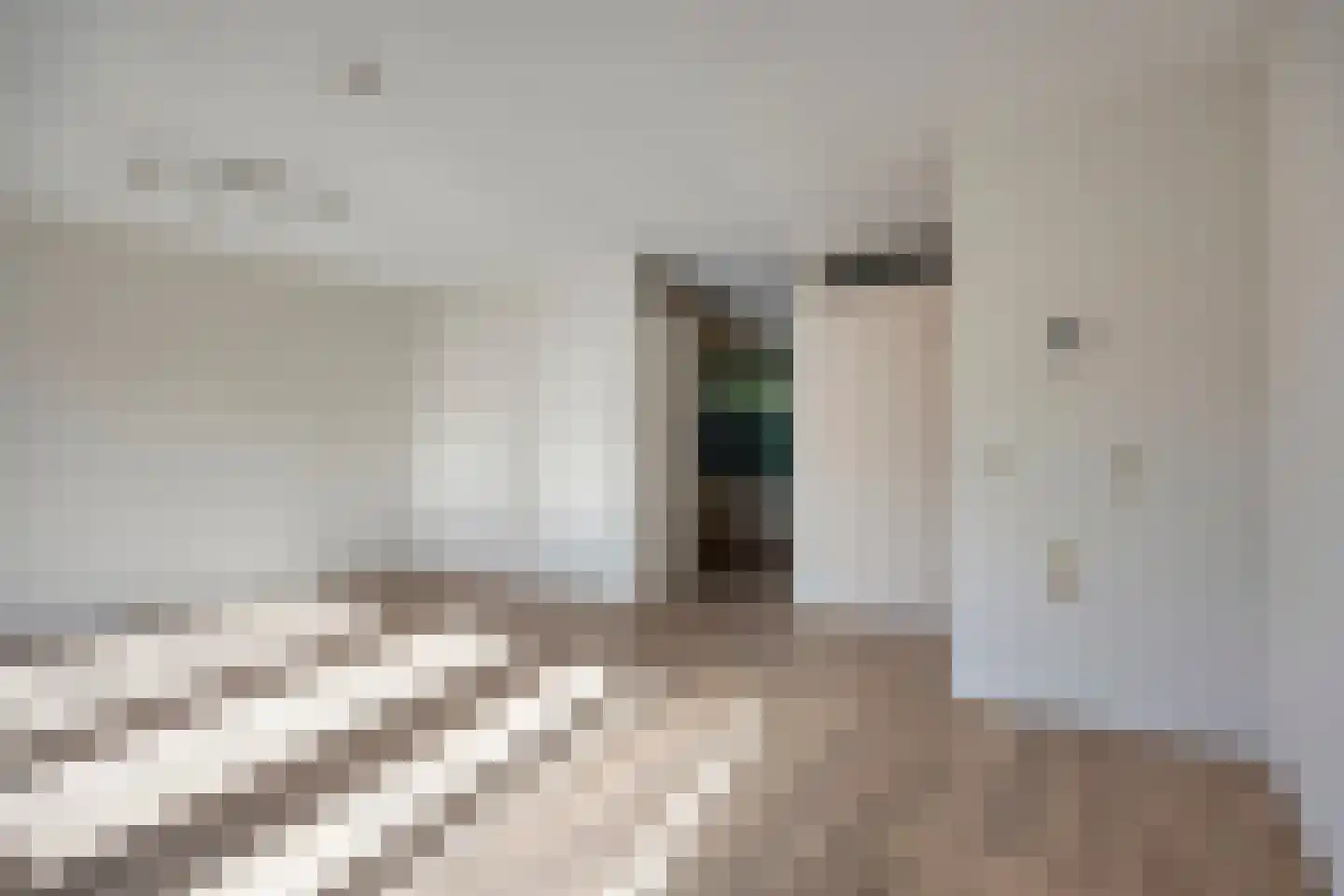 Roosje Vosstraat 97 Eindhoven thumbnail 11