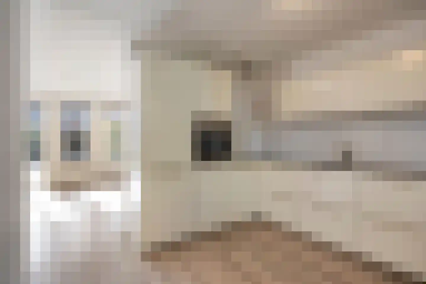 Roosje Vosstraat 97 Eindhoven thumbnail 12
