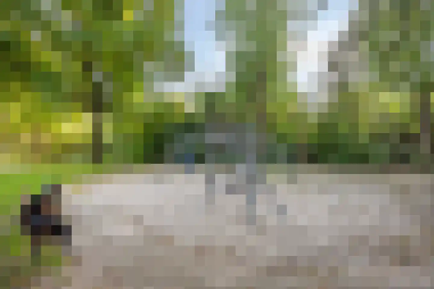 Roosje Vosstraat 97 Eindhoven thumbnail 31