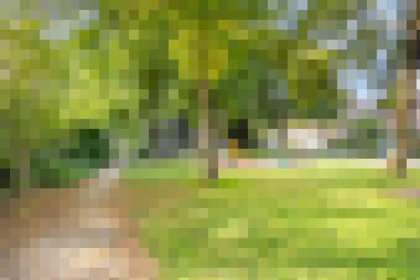 Roosje Vosstraat 97 Eindhoven thumbnail 33