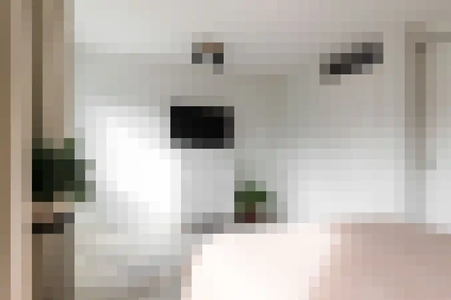 Roosje Vostuin 17 Heerhugowaard thumbnail 11