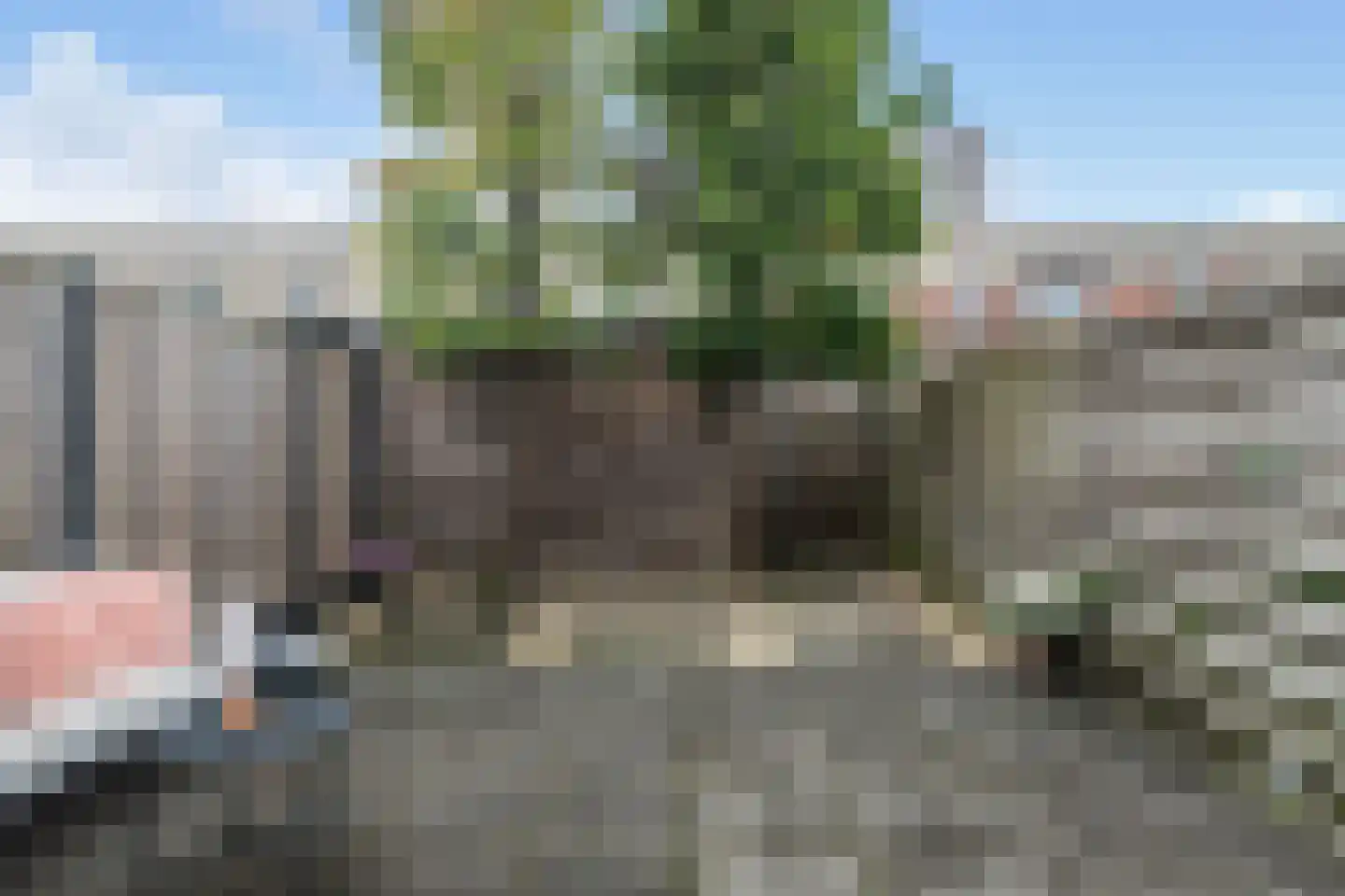 Roosje Vostuin 17 Heerhugowaard thumbnail 18