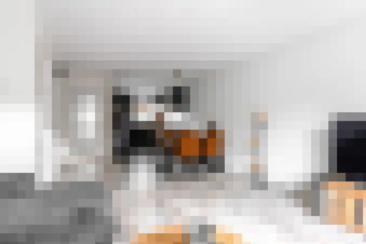 Roosje Vostuin 17 Heerhugowaard thumbnail 5