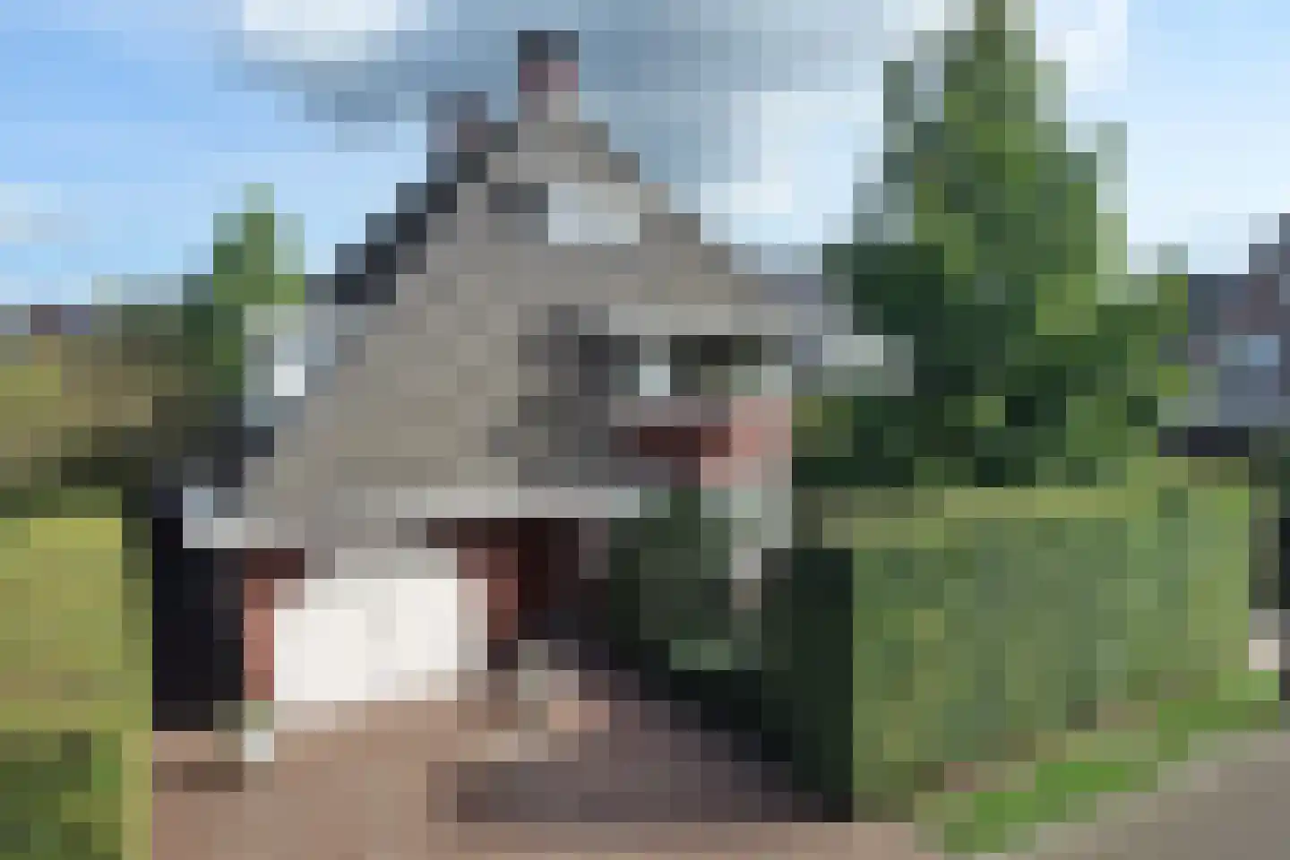Roosjespeer 7 Borne