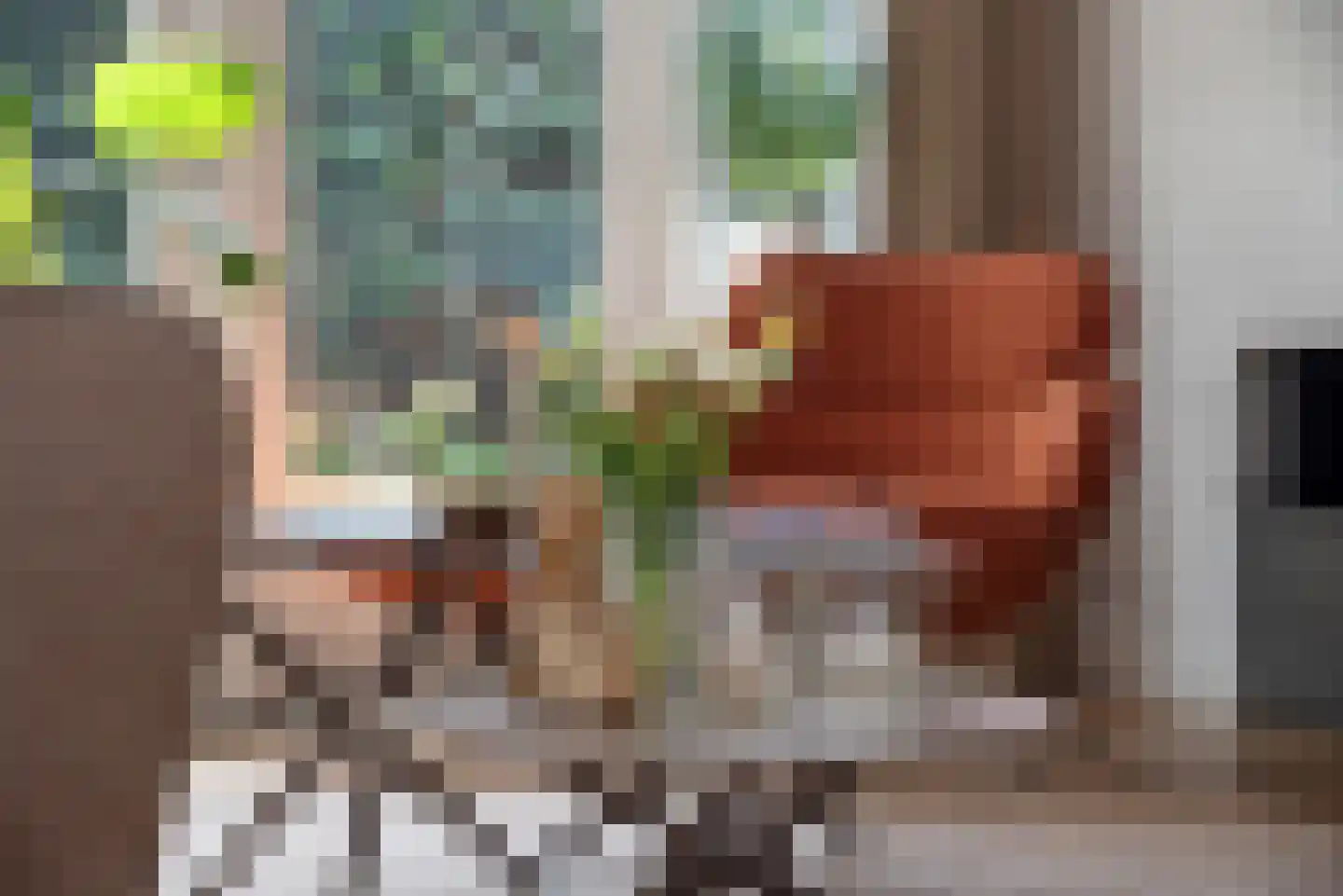 Roosjespeer 7 Borne thumbnail 13