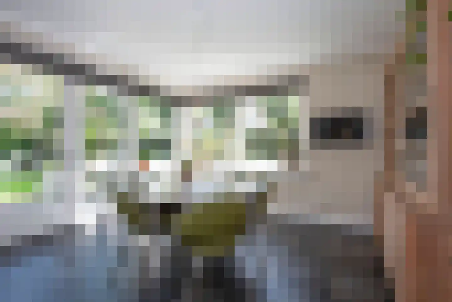 Roosjespeer 7 Borne thumbnail 15