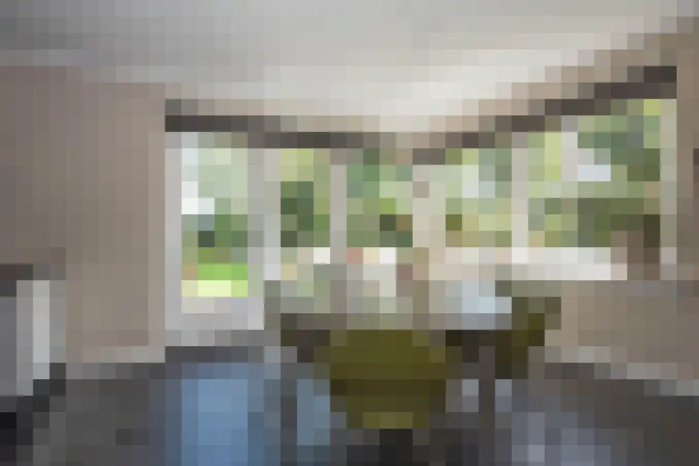 Roosjespeer 7 Borne thumbnail 16