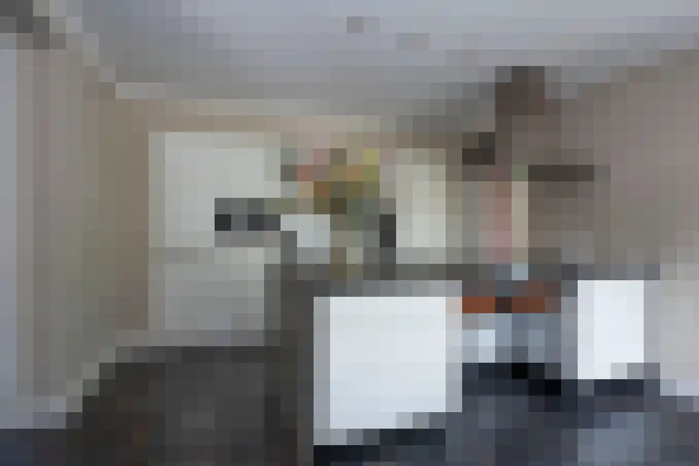 Roosjespeer 7 Borne thumbnail 17