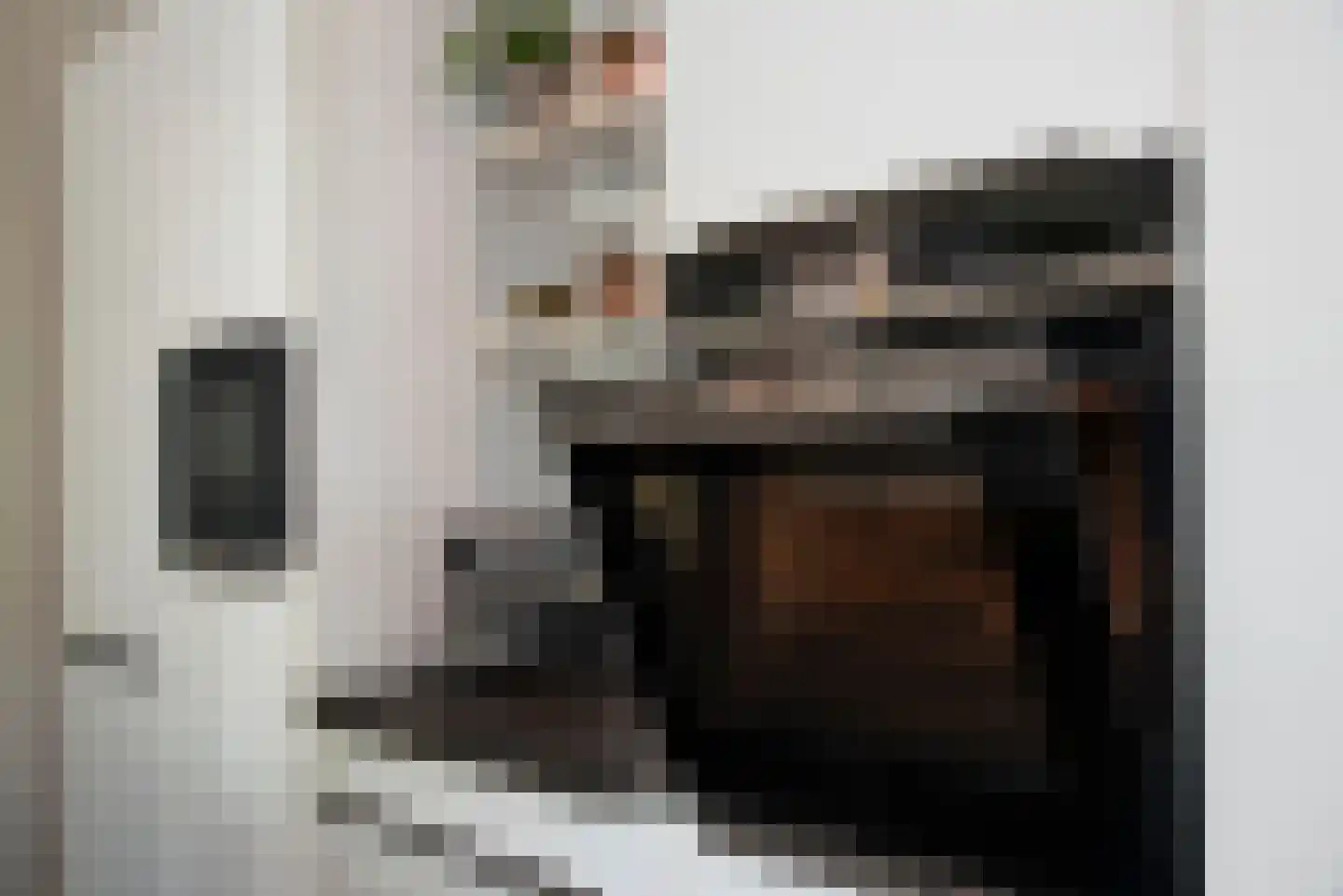 Roosjespeer 7 Borne thumbnail 19