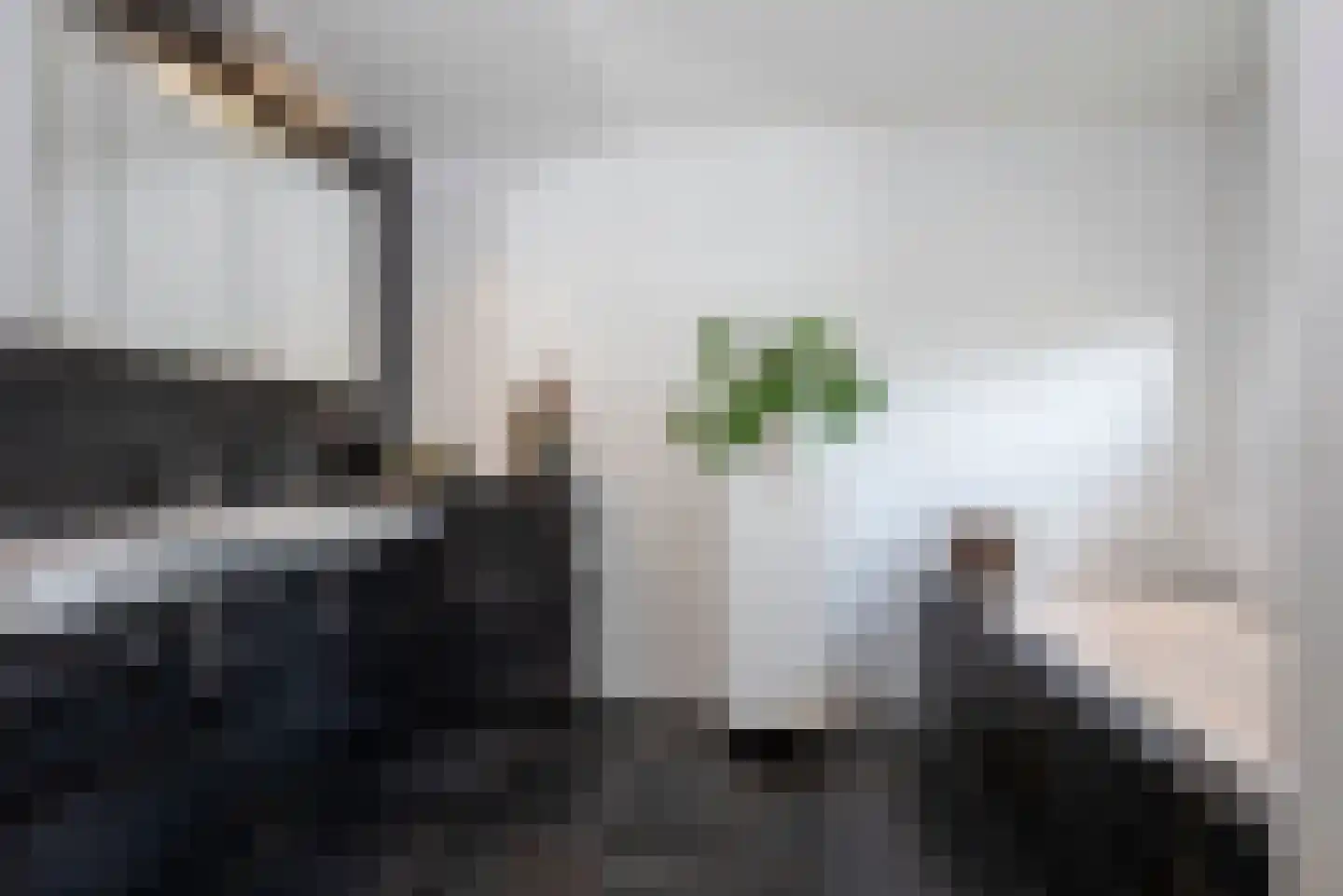 Roosjespeer 7 Borne thumbnail 30