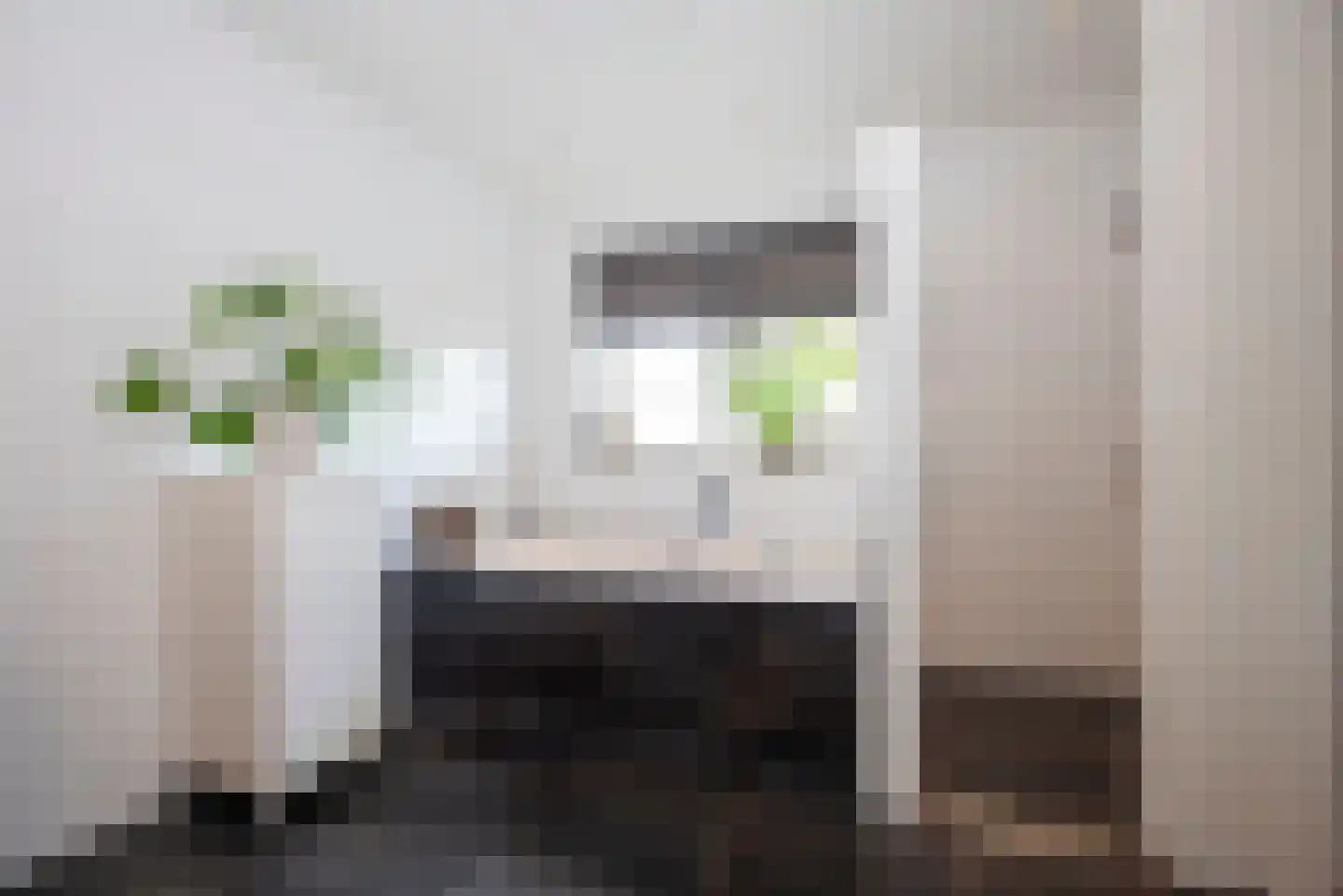 Roosjespeer 7 Borne thumbnail 32