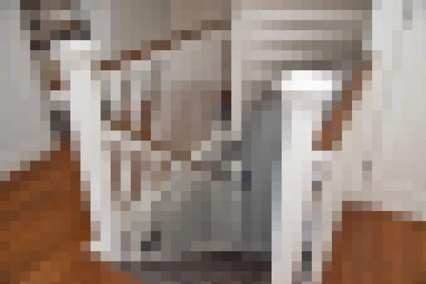 Roosjespeer 7 Borne thumbnail 34