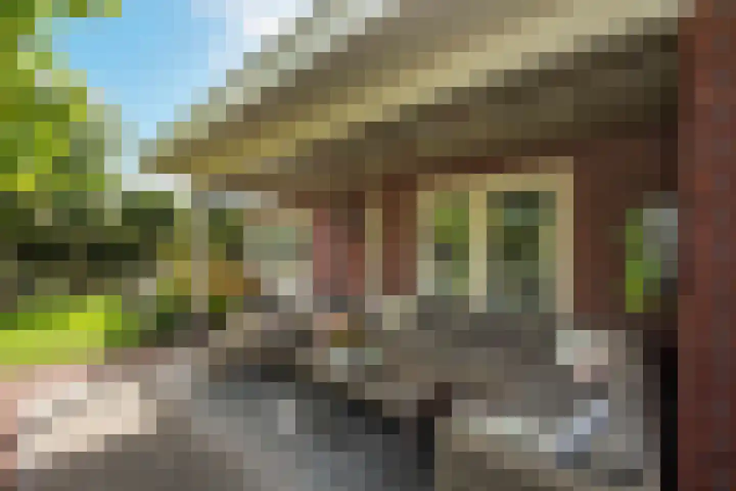 Roosjespeer 7 Borne thumbnail 45