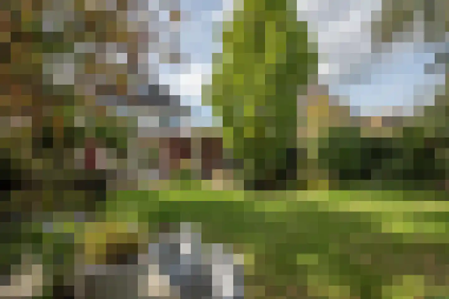 Roosjespeer 7 Borne thumbnail 54