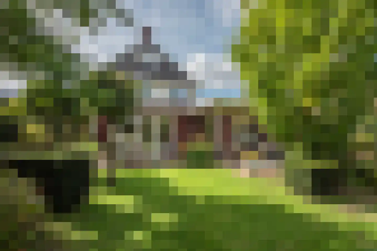 Roosjespeer 7 Borne thumbnail 55