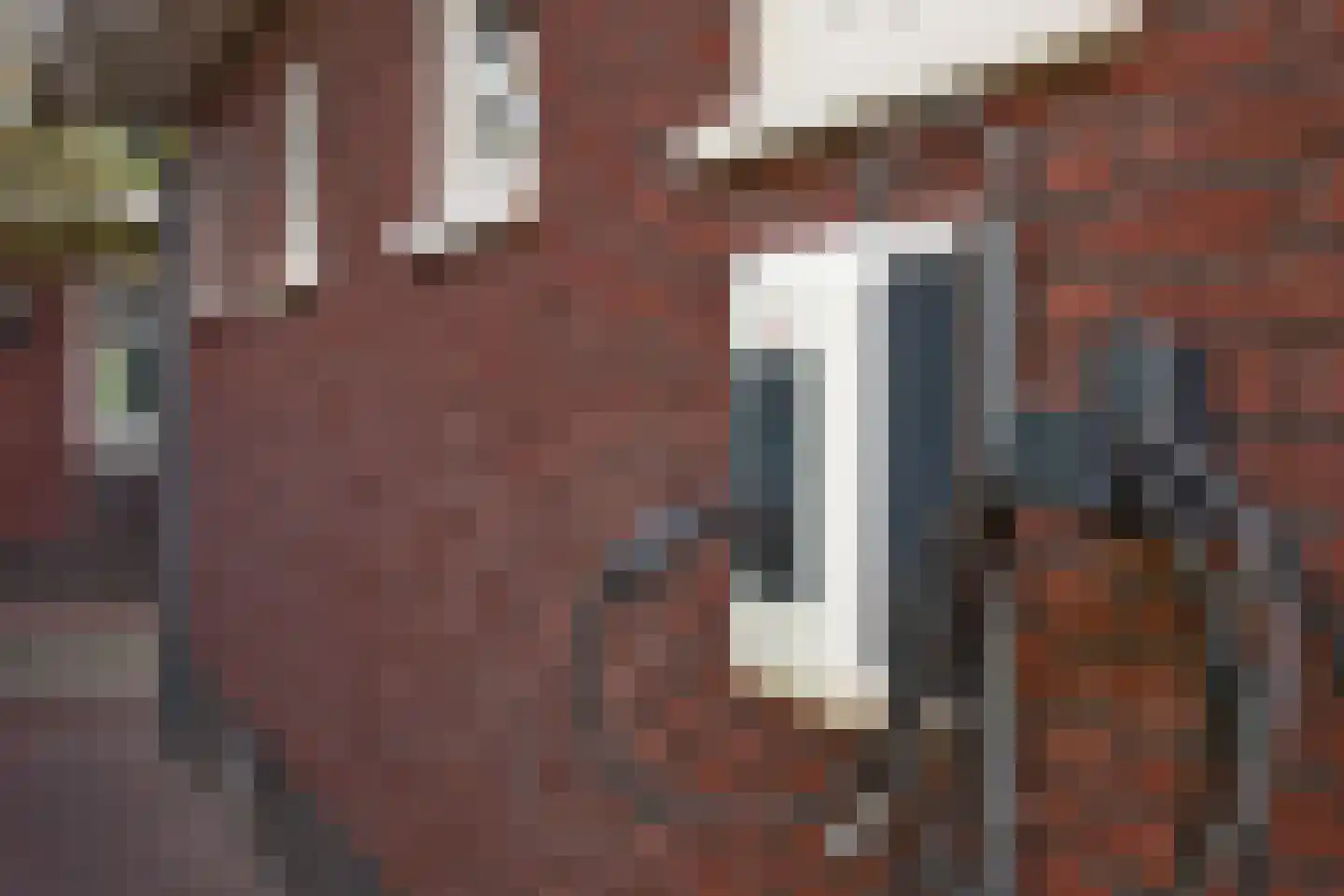 Roosjespeer 7 Borne thumbnail 61