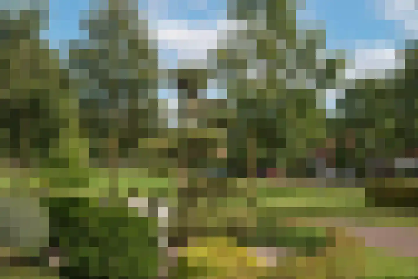 Roosjespeer 7 Borne thumbnail 63