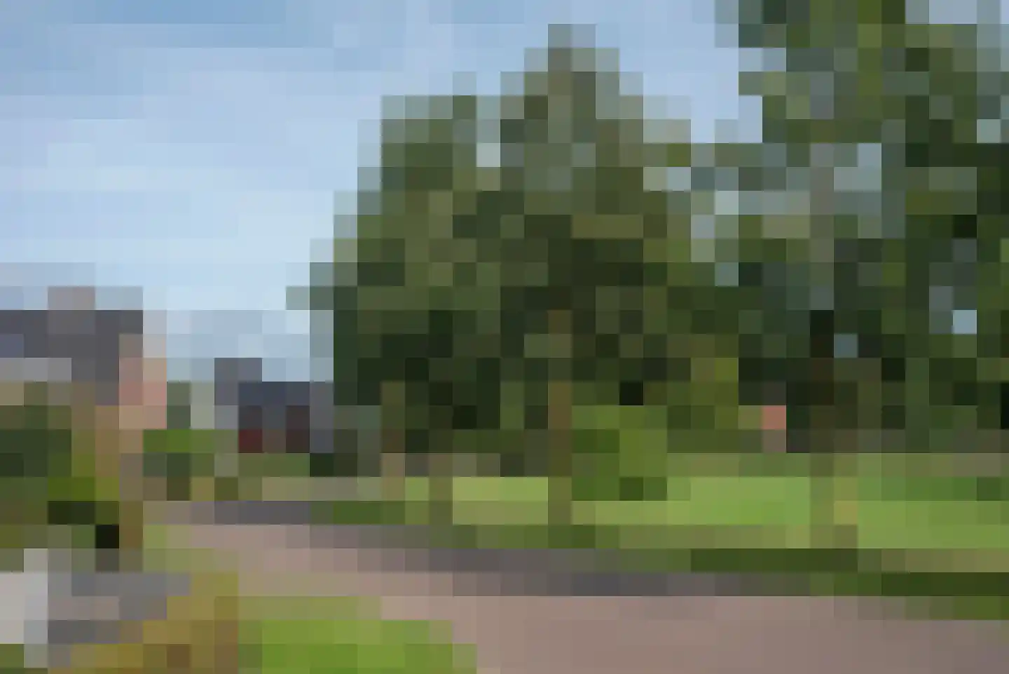 Roosjespeer 7 Borne thumbnail 64