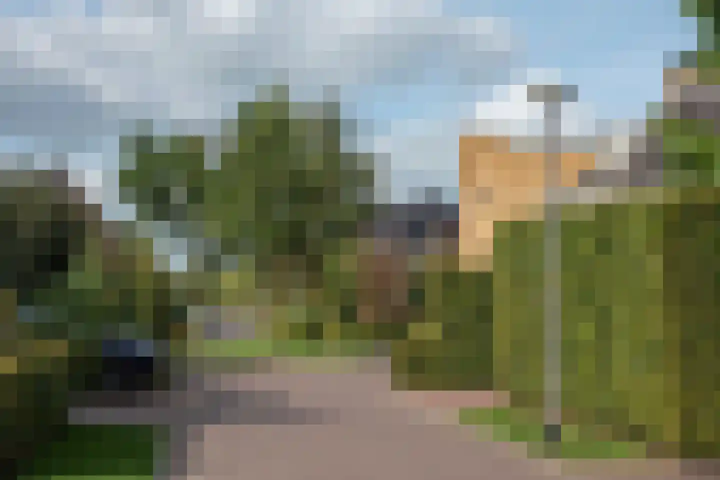 Roosjespeer 7 Borne thumbnail 65