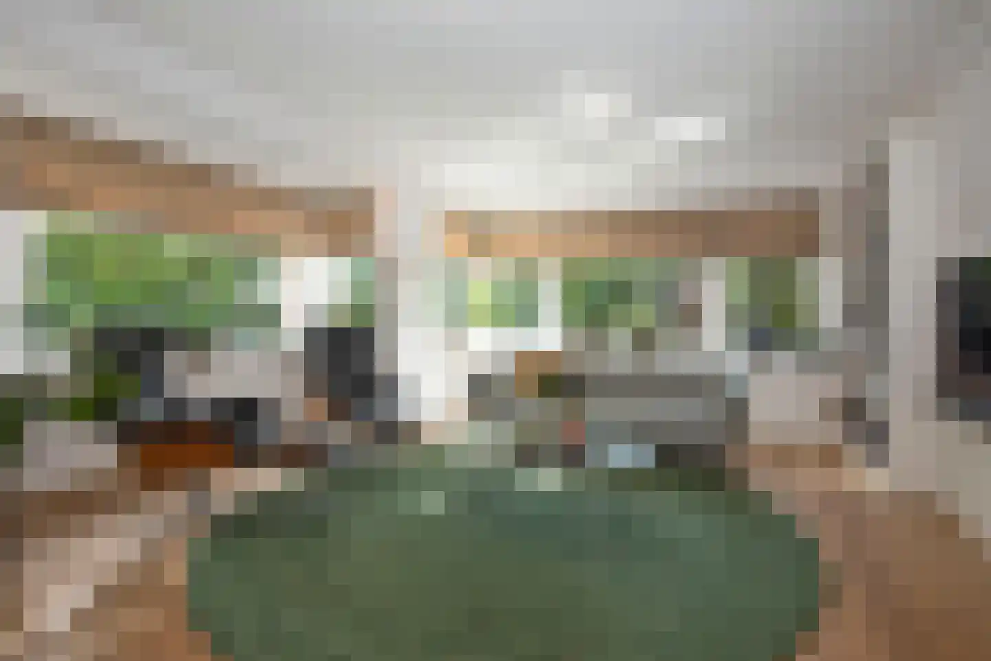 Roosjespeer 7 Borne thumbnail 8