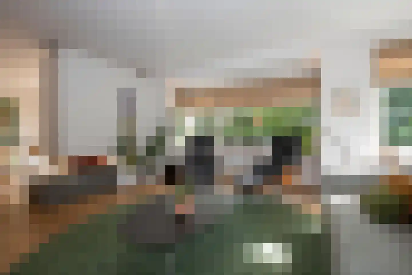 Roosjespeer 7 Borne thumbnail 9