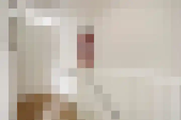 Roosjestin 14 Tiel thumbnail 10