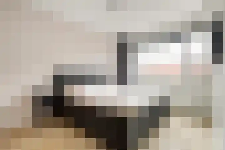 Roosjestin 14 Tiel thumbnail 11