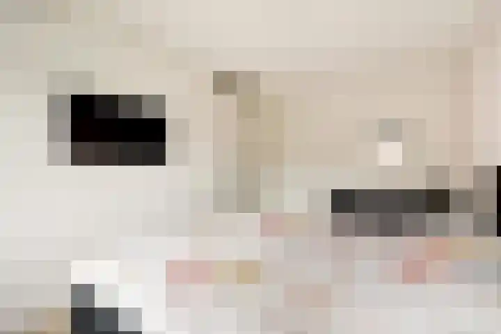 Roosjestin 14 Tiel thumbnail 12