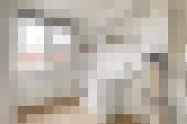 Roosjestin 14 Tiel thumbnail 14