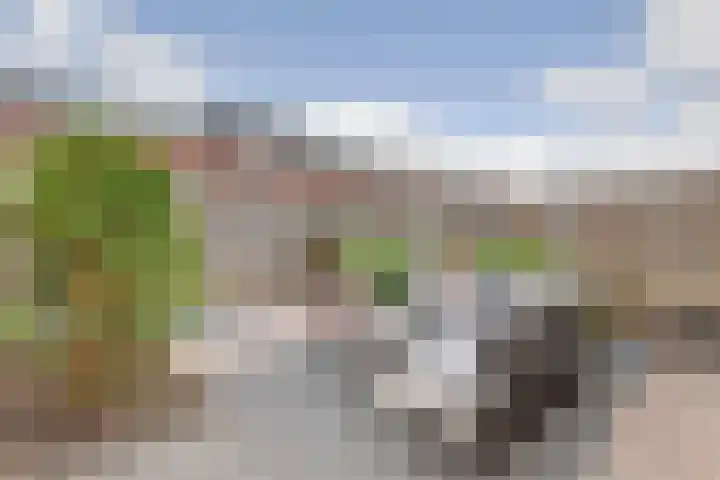Roosjestin 14 Tiel thumbnail 17