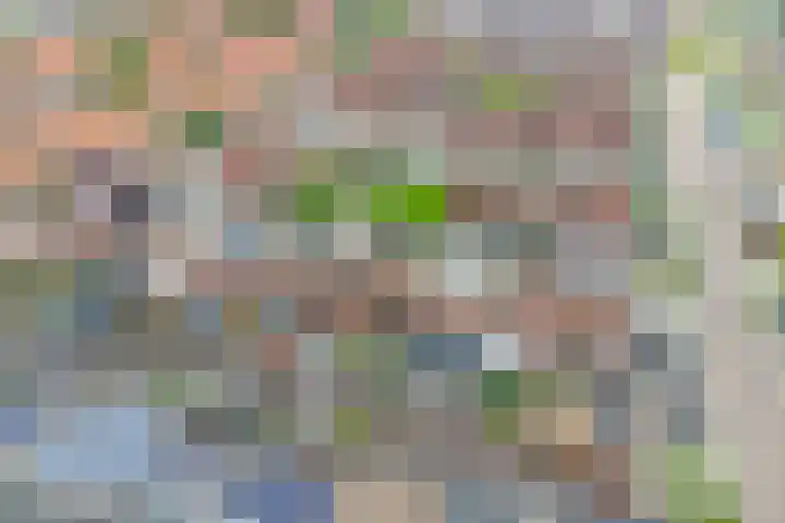 Roosjestin 14 Tiel thumbnail 19