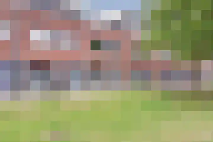 Roosjestin 14 Tiel thumbnail 20