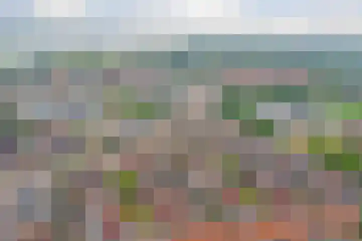 Roosjestin 14 Tiel thumbnail 21