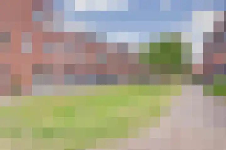 Roosjestin 14 Tiel thumbnail 22