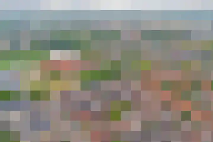 Roosjestin 14 Tiel thumbnail 23