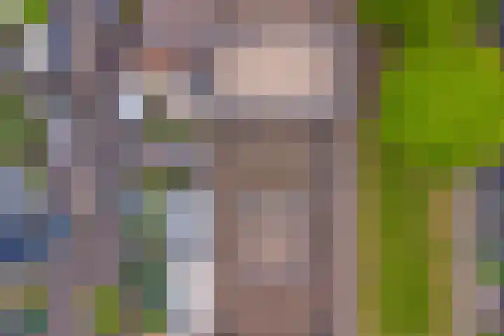 Roosjestin 14 Tiel thumbnail 24