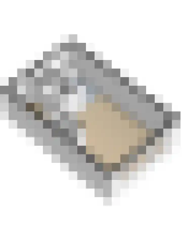 Roosjestin 14 Tiel thumbnail 26