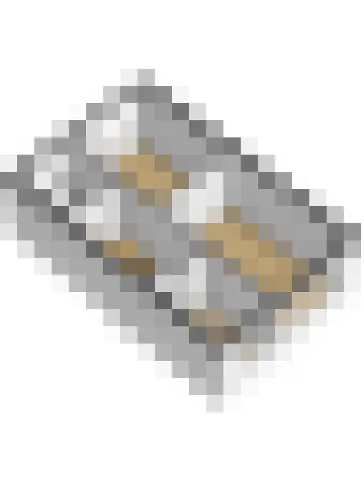 Roosjestin 14 Tiel thumbnail 28