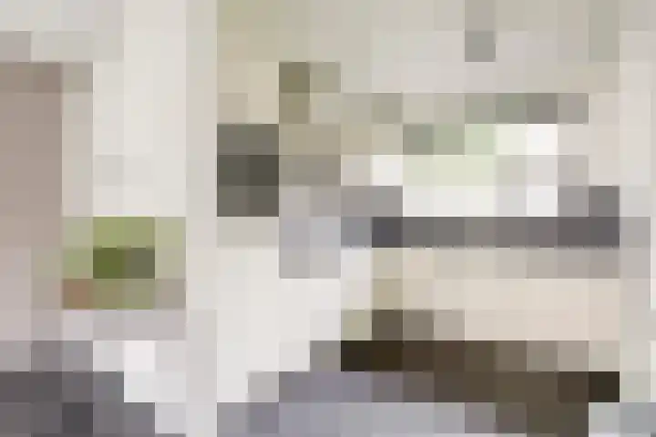 Roosjestin 14 Tiel thumbnail 6