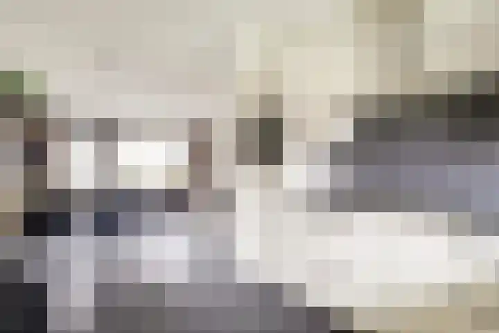 Roosjestin 14 Tiel thumbnail 7