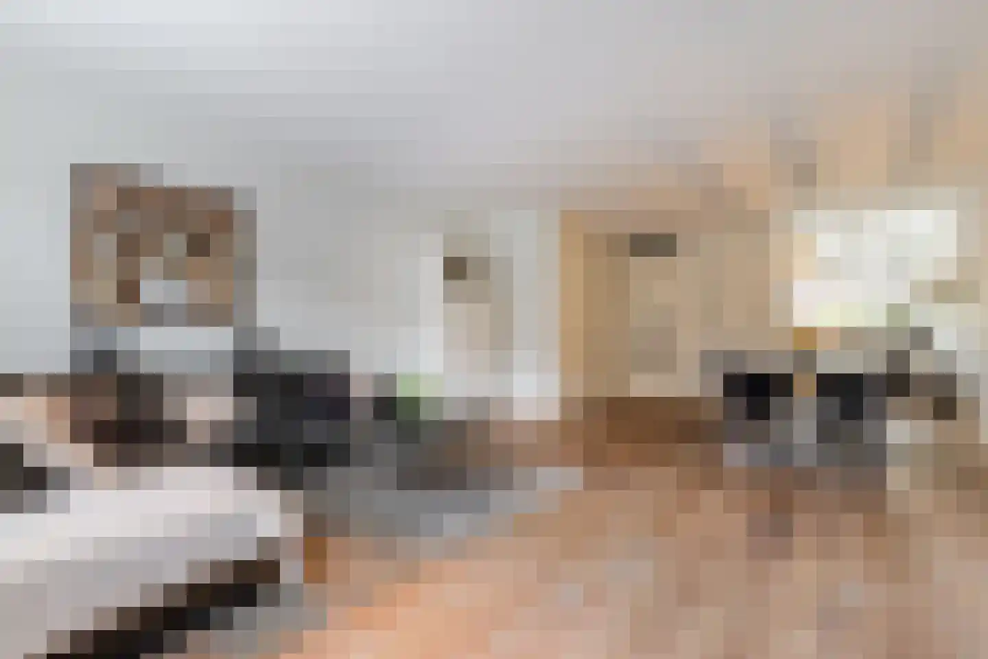 Roosjestin 17 Tiel thumbnail 13