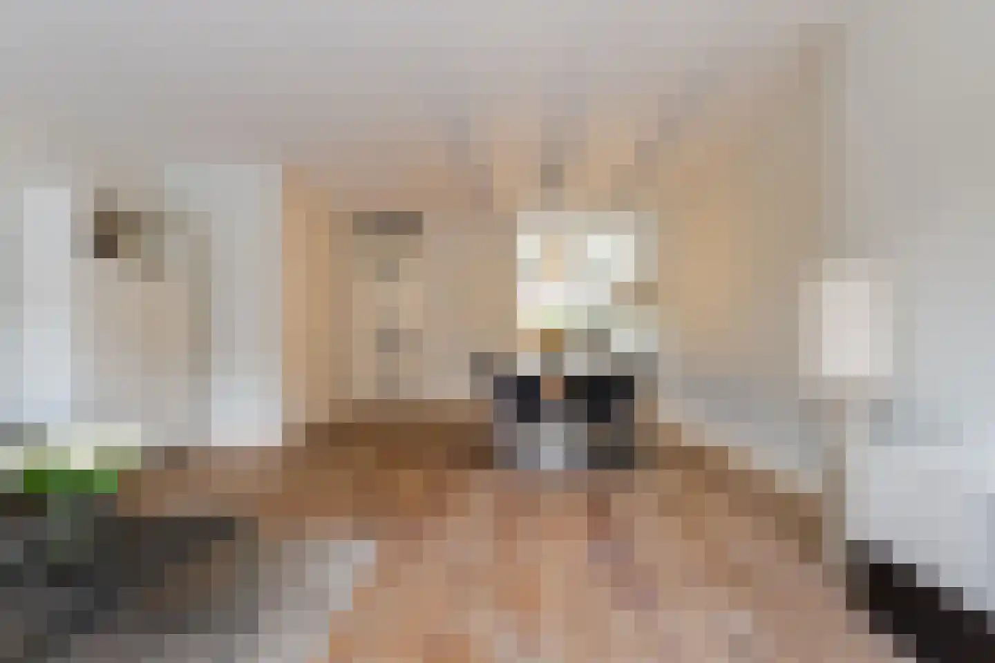 Roosjestin 17 Tiel thumbnail 14
