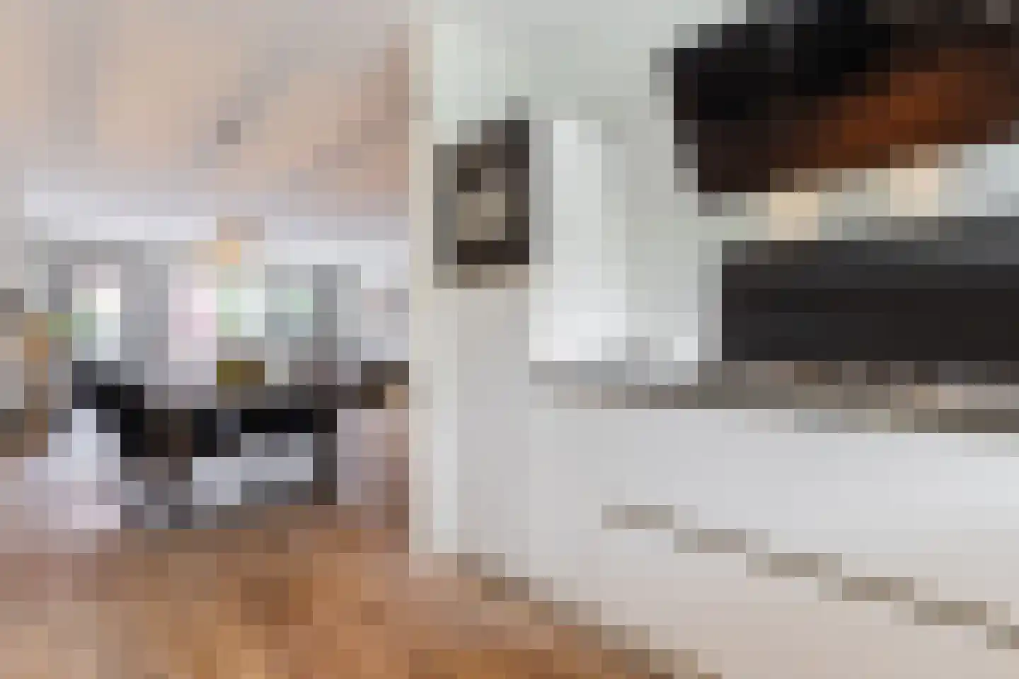 Roosjestin 17 Tiel thumbnail 23